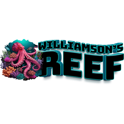 ReefnBid - Live Coral Auctions